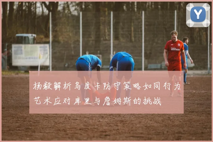 杨毅解析乌度卡防守策略如同行为艺术应对库里与詹姆斯的挑战